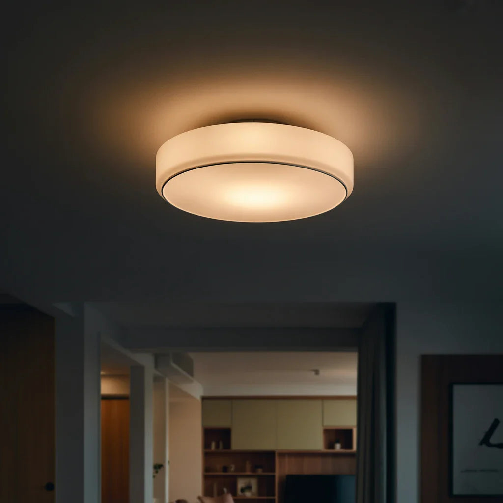 Ceiling Light